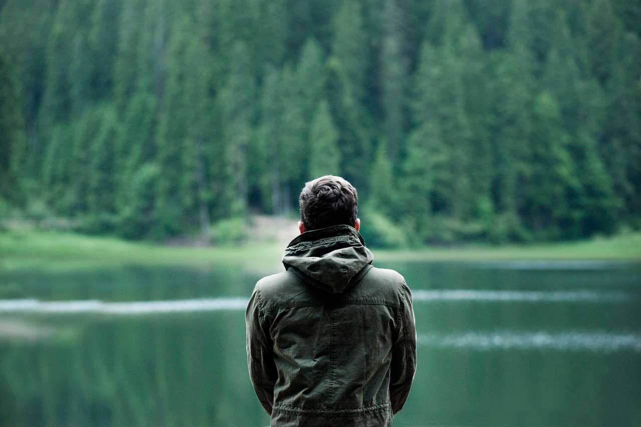 save-forest